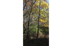 Lt0 Lake View Rd, West Bend, WI 53090
