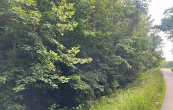 0 Rose Drive, Lawrenceville, VA 23868