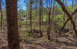 5508 Sealy Ann Mountain Rd, Adger, AL 35006