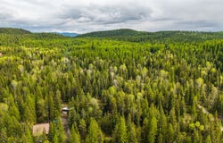 37 Soaring Eagle Trail, Fortine, MT 59918