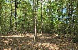 1131 Wolf Log Road, Flomaton, AL 36441