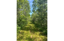 1961 Town Road 118, Birchdale, MN 56629