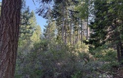 Castle Lake Rd, Shasta Lake, CA 96067