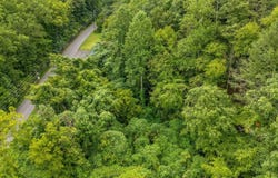Lot 30 Catons Chapel Road, Sevierville, TN 37876