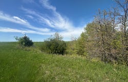 000 Bayport Avenue, Ethel, MO 63539