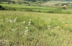 Tbd Lenville Road, Moscow, ID 83843