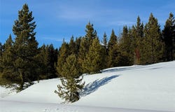 32 BEEHIVE BASIN ROAD LOT 235, Big Sky, MT 59716