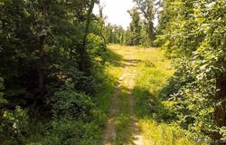 Tbd Ponder Slab Road, Iberia, MO 65486