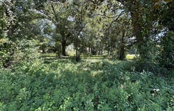 3 Lots W Juniper Avenue, Crestview, FL 32536