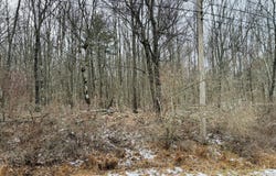 646 Muldovan Drive, Hawley, PA 18428
