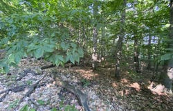 Lot 10 S Club Drive, Cedar, MI 49621