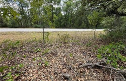 Tbd MALAUKA DRIVE, OCKLAWAHA, FL 32179
