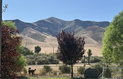 9835 Sabin Drive, Winnemucca, NV 89445