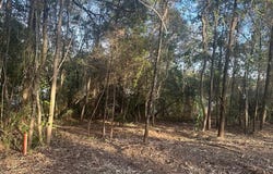 Blue Pine Circle lot: 65, Brookwood, AL 35444
