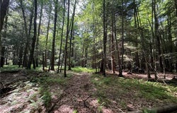 5757 St Hwy 7*, Oneonta, NY 13820