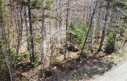2029 Fox Hollow Road, Carrabassett Valley, ME 04947