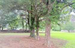 SW Fourth Street, Flora, MS 39071