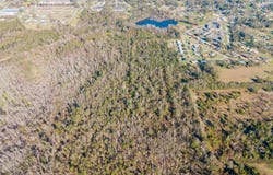 Vacant SE Jeanette Circle, Madison, FL 32340
