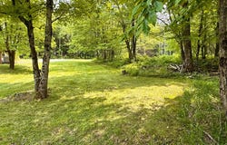 161 Tamarack Road, Lake Pleasant, NY 12108