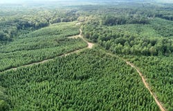 County Road 5131, MS 38829