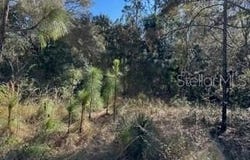 7991 N TINY LILY DRIVE, CITRUS SPRINGS, FL 34434