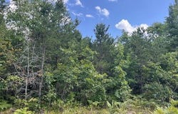12 Acres Michigan Oaks Lane, Indian River, MI 49749