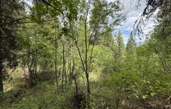TBD KNOB HILL RD, REPUBLIC, WA 99166