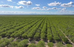 11885 Road 9, Madera, CA 93637