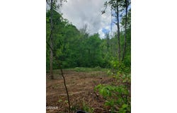 397 Moore Hollow Road, Newport, TN 37821