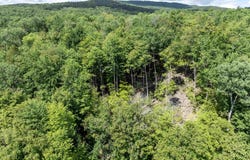 TBD Arbor Lane, Duxbury, VT 05660