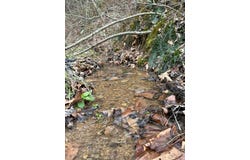 2572 Williams Branch, Flat Gap, KY 41219
