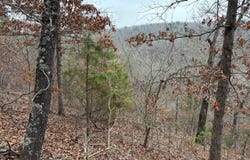 547 MC 3002, Yellville, AR 72687