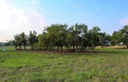 117 Apache Trace lot: 1, Harper, TX 78631