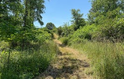 115 W Michigan Avenue, Parma, MI 49269