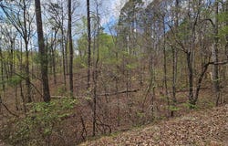 135 Adair Drive, Ranger, GA 30734