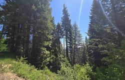 74 Burnt Wagon Trail, Donnelly, ID 83615
