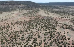 006 N8604, Concho, AZ 85924