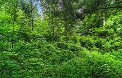 V/L Guernsey Lake Road, Delton, MI 49046