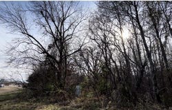Highway 49, Helena, AR 72342