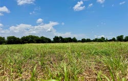 Lot 12 CR-590, Nevada, TX 75173