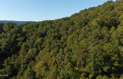 32.38 AC Panther Creek Rd, Sneedville, TN 37869