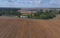 2080 Rizer Rd, Quitman, GA 31643