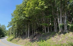 1499 Huntersland Road, Middleburgh, NY 12122