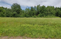 1.35 Acres on Isabella Lane, Sheldon, WI 54766