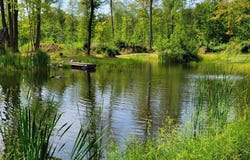 N3429 COUNTY ROAD C, Medford, WI 54451