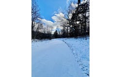 Brizzee Hollow, Genesee, PA 16923