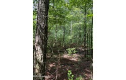 0 Seventh Day Road, Florence, MS 39073