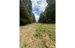 4711 Caneyville Road, Morgantown, KY 42261
