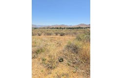 426-390-24 Flycatcher, Weldon, CA 93283