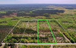 Lot 3 W Pendills Lake Road, Brimley, MI 49715